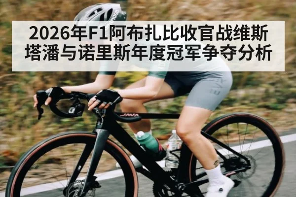 2026年F1阿布扎比收官战维斯塔潘与诺里斯年度冠军争夺分析